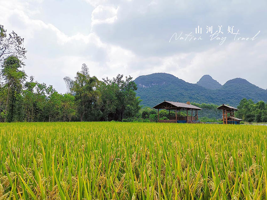 赏山悦水·拥抱自然——榴莲AV舒服黄浏览2020金秋阳朔之旅